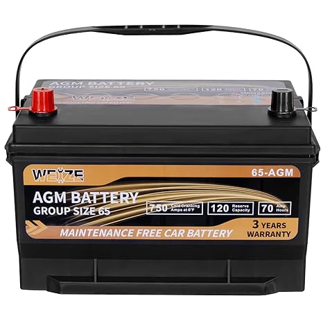 Weize Platinum AGM Battery BCI Group 65