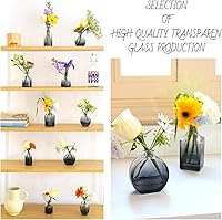 Vista 4 de Juego de 12 jarrones de cristal transparente negro, pequeños jarrones para centro de mesa, jarrones modernos a granel, mini jarrón de vidrio