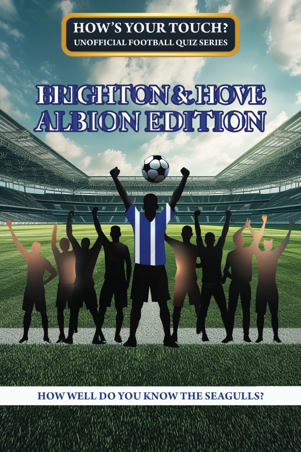 How's Your Touch? Unofficial Football Quiz Series Brighton & Hove Albion Edition: How Well Do You Know The Seagulls?