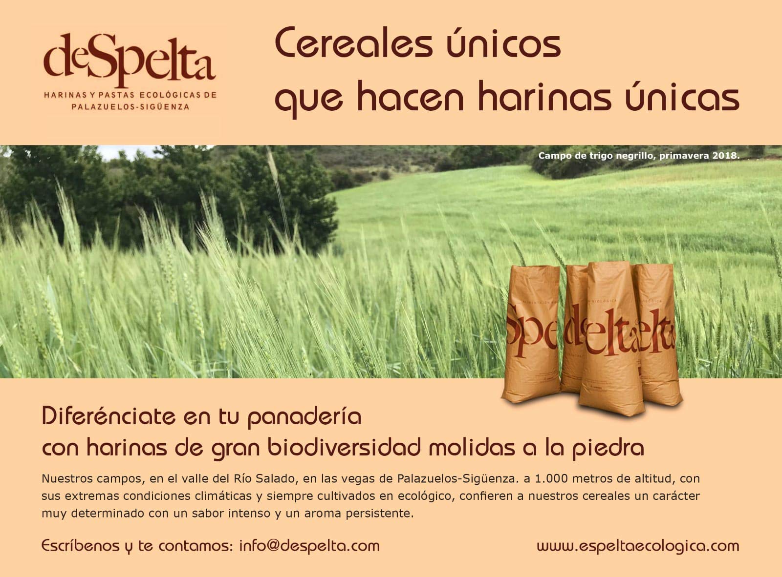 Despelta - Trigo Califa Harina Fina Ecológica - 5 Kg - Harina de Fuerza W300
