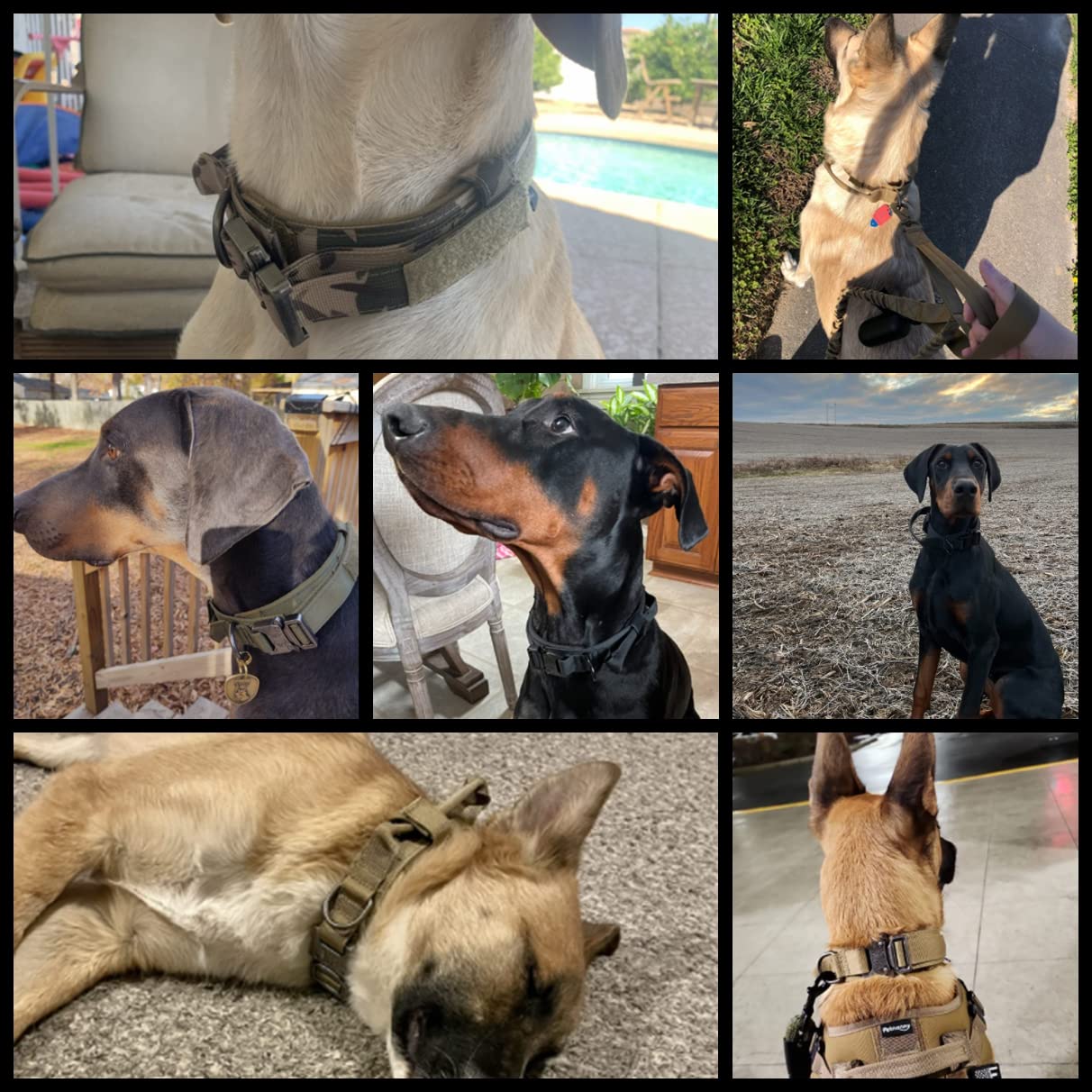 Zware Tactische Hondenhalsbanden met Handvat Militaire K9 Halsband met Patch Outdoor Training en Wandelen voor Middelgrote en Grote Honden kopen vanaf een prijs van 49
