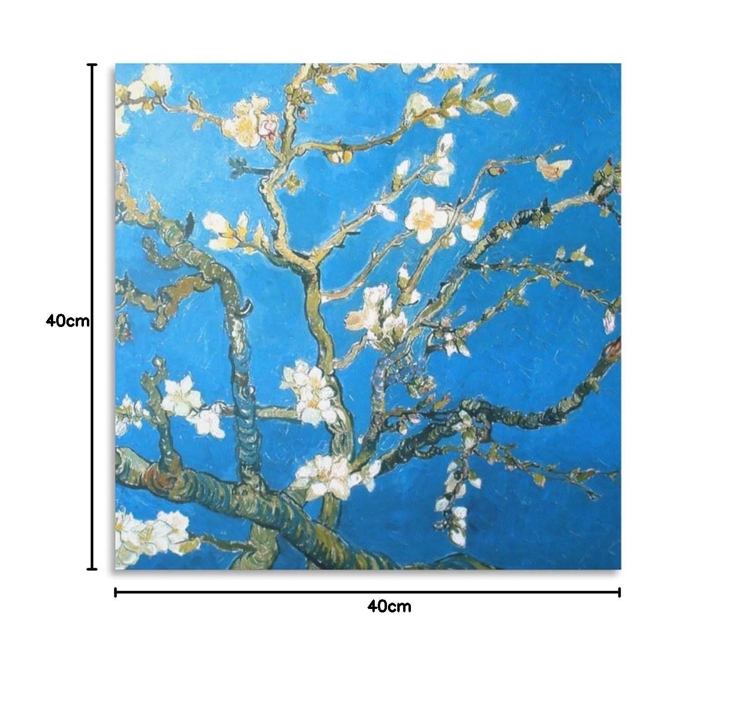 Amazon.co.jp: 花咲くアーモンドの小枝（フィンセント ファン ゴッホ