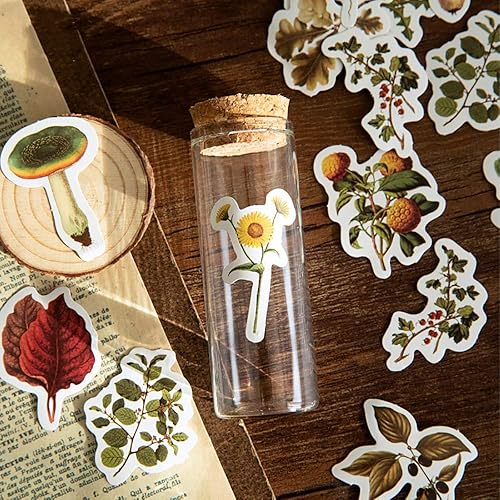 Miniatura 9 de Doraking - Calcomanías pequeñas para laptop, 46 unidades en caja, lindas calcomanías de estilo otoñal para laptop, álbumes de recortes, maleta