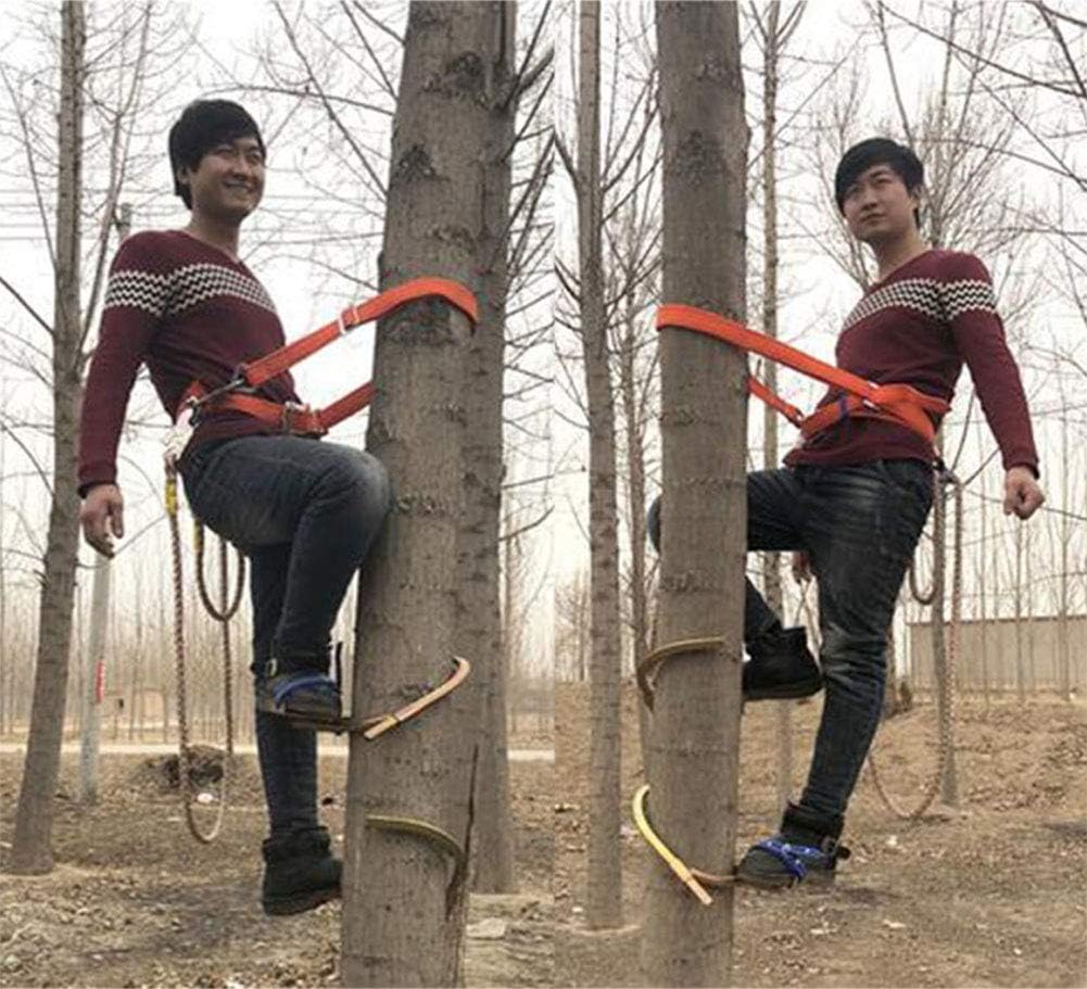 RENHAN Pole Climbing Spikes,Climbing Trees Artifact Electrician Wooden Pole Foot Buckle,Thicken Climbing Trees Tool,for Hunting Observation, Picking Fruit, Coconut, Simple to Use,300Model