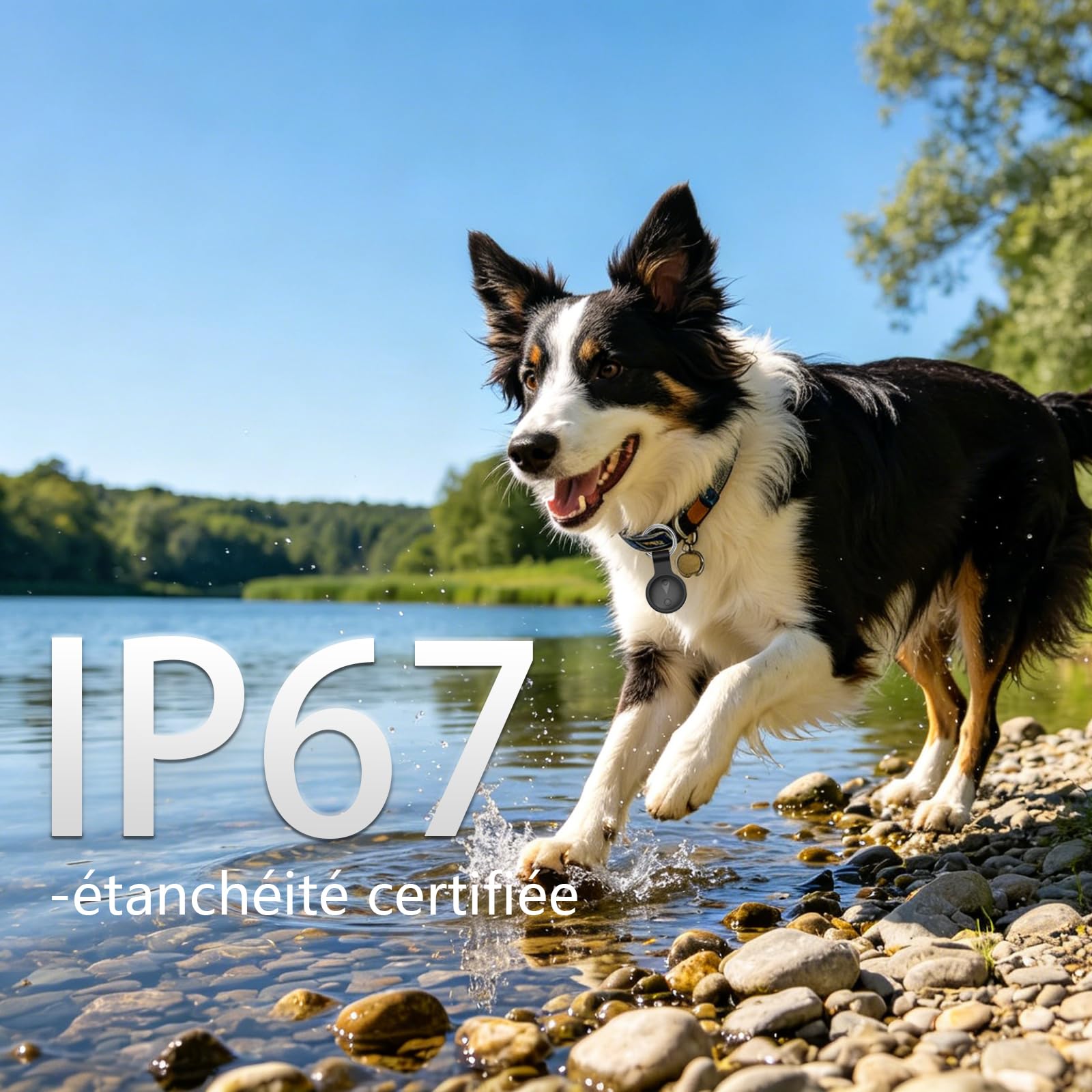 GPS Tracker Katze Kein Abonnement Erforderlich Tracker Katze Unterstützt Android & iOS Katzenhalsband Mit GPS Aktivitätenverlauf Katzen GPS Tracker Standortverfolgung –schwarz