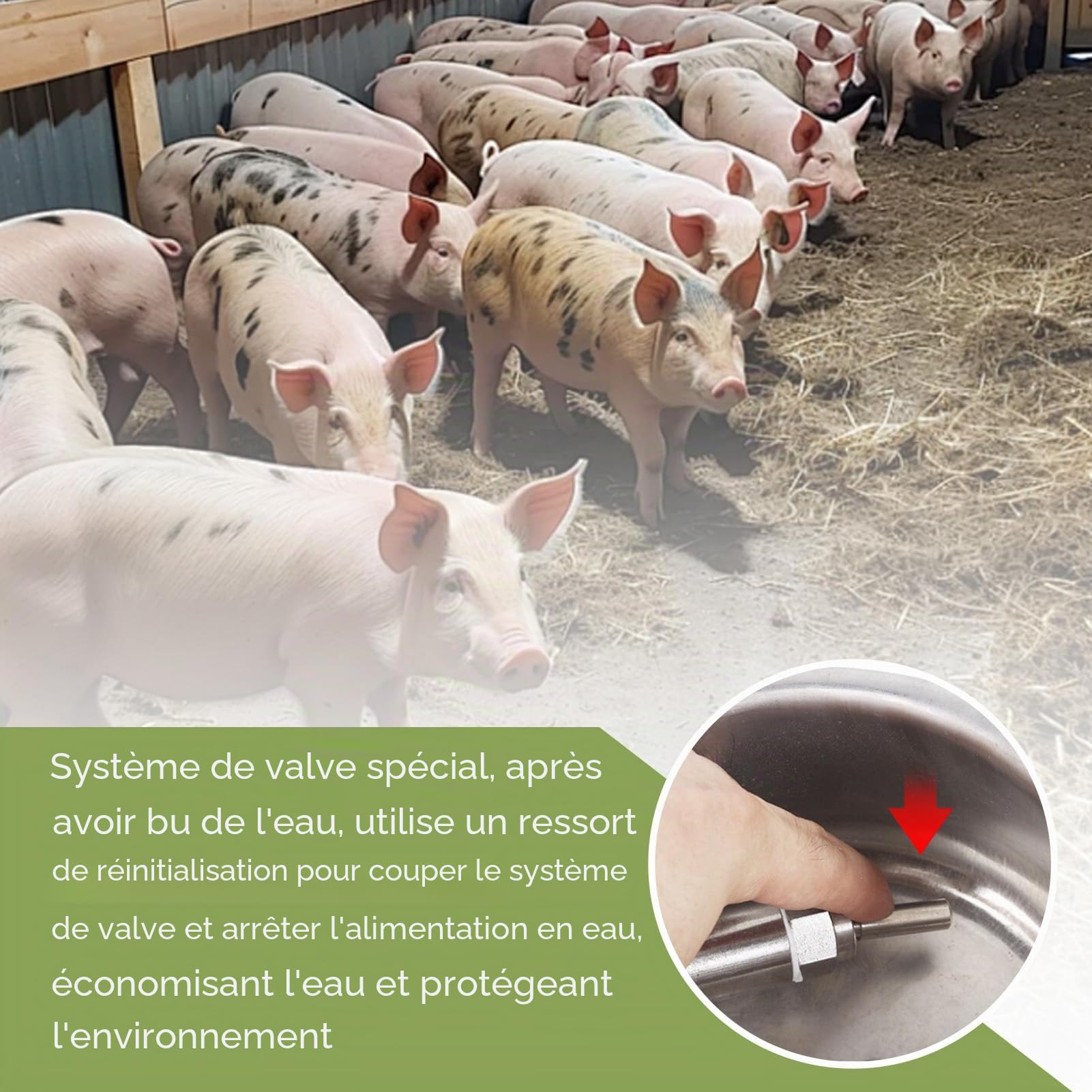 Abreuvoir Automatique en Acier Inoxydable, 15cm Distributeur d'eau pour Porcs Bol Automatique avec Valve De Contrôle, pour Porcelets, Chèvres, Moutons Et Autres Animaux De La Ferme