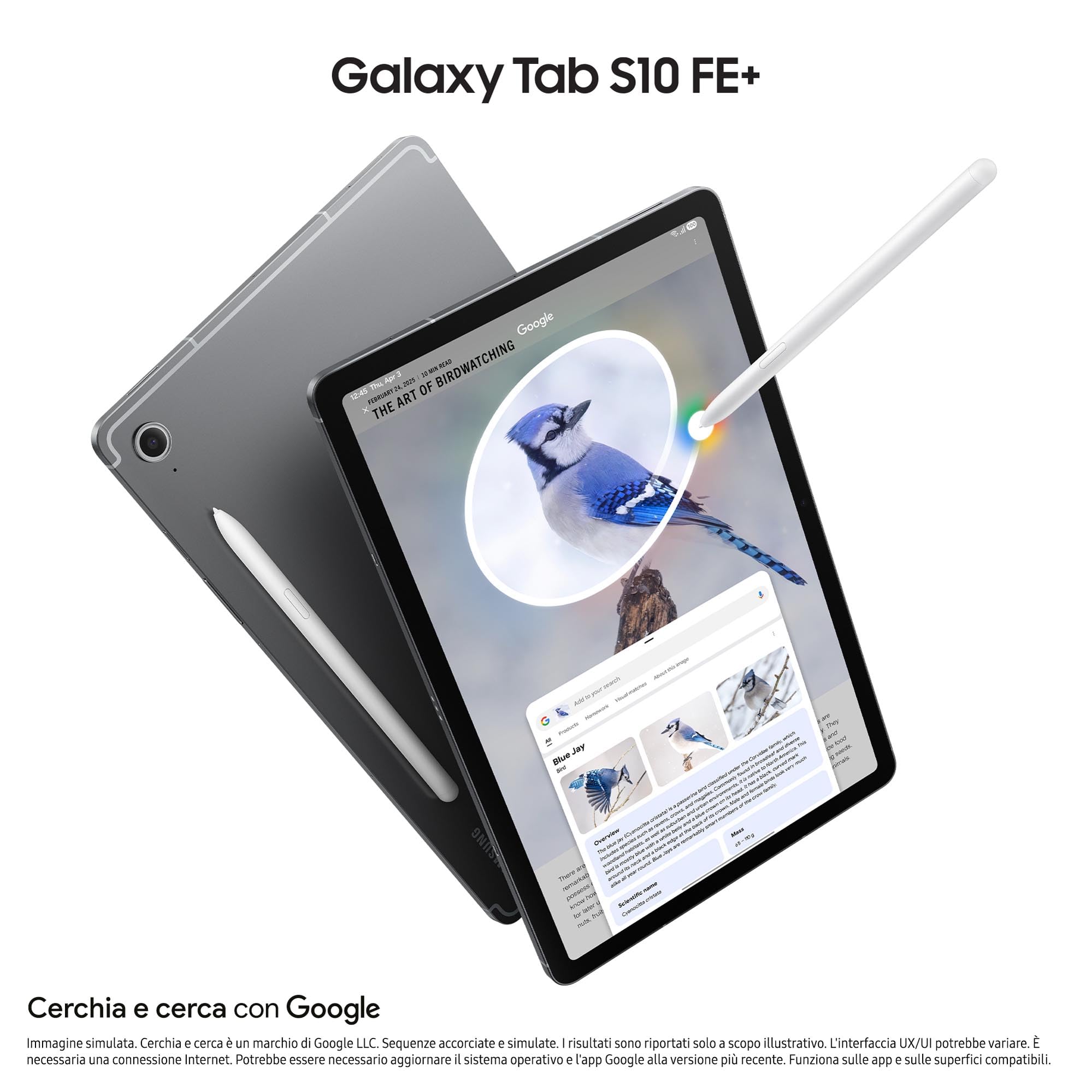 Samsung Galaxy Tab S10 FE+, 3 anni di garanzia, Android Tablet, Display 13.1"LCD, Wifi, RAM 8GB, 128GB, 10.090 mAh, S Pen, Android 15, IP68, Gray [Versione italiana]