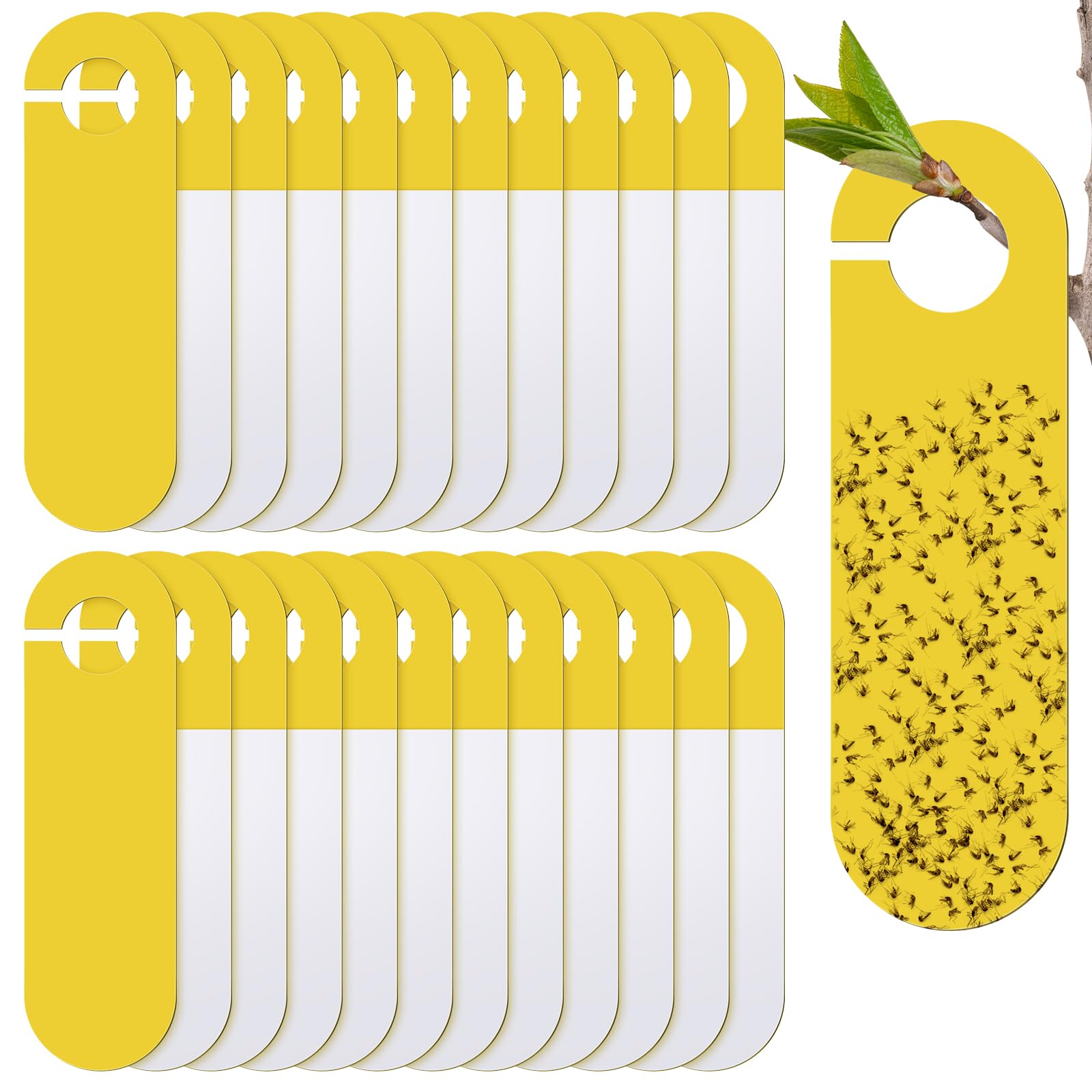 Qualirey Paquete de 50 trampas colgantes adhesivas amarillas de doble cara para hongos y mosquitos para plantas de interior de casa, mata mosquitos, moscas blancas, pulgones, mineros de hojas,
