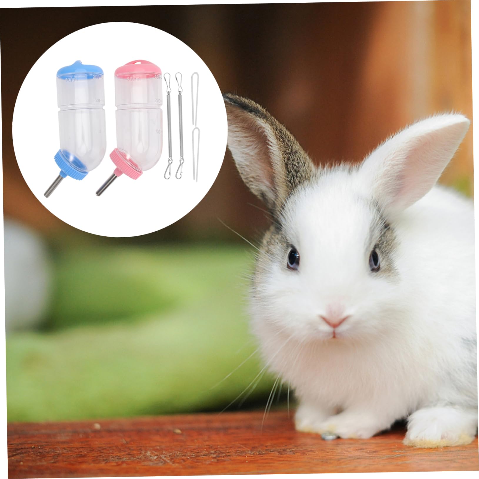 INOOMP 6pièces Bouteille Eau pour Animaux Abreuvoir à Créatif pour Rongeurs Et Petits Animaux De Couleur Aléatoire