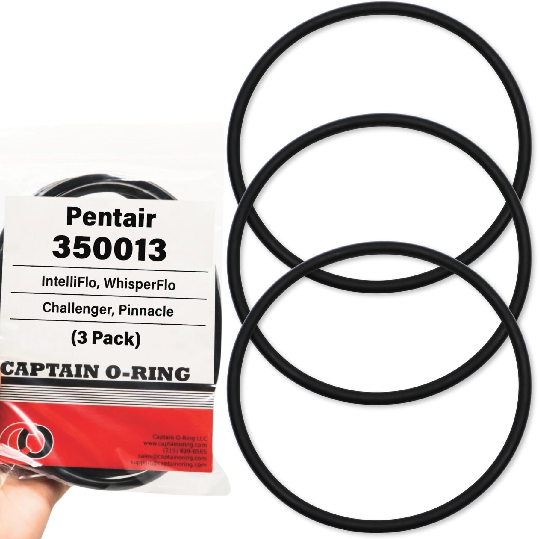 ぞうしゅん☆ Amazon.com: Captain O-Ring - 350013 Lid O-Ring - Compatible with