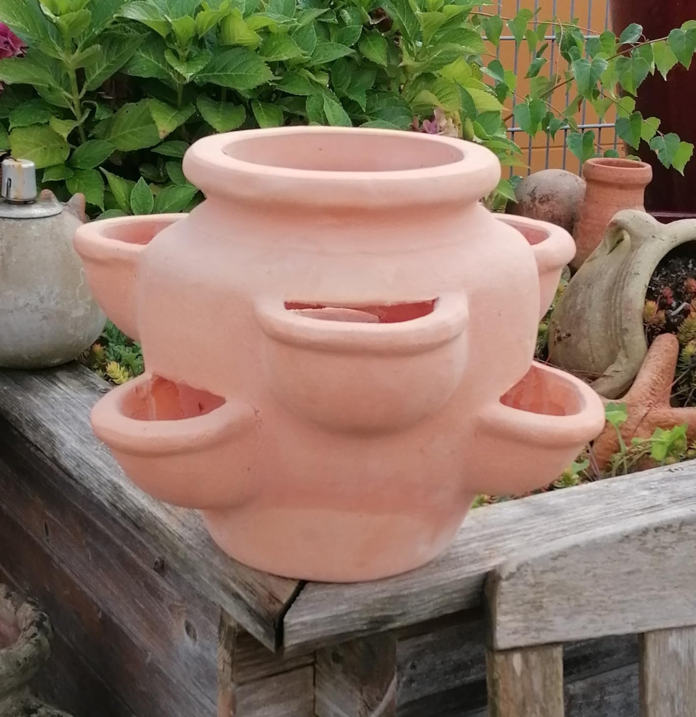 Generisch NEU !! Erdbeertopf/Krutertopf aus rtlichen Terracotta ca. 28 cm  hoch Blumentopf Blumenkbel Garten Terracotta Deko Kruterspirale  Sukkulenten: Amazon.de: Garten