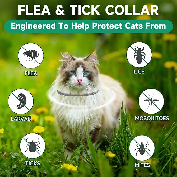 4 Pack Flea Collar for Cats, 32 Months Flea and Tick Prevention for Cats