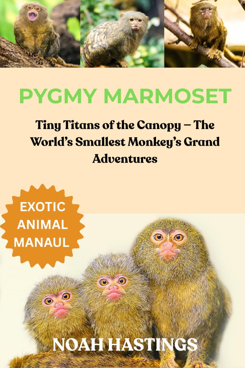 PYGMY MARMOSET: Tiny Titans of the Canopy — The World’s Smallest Monkey’s Grand Adventures