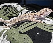 Review Image by Ruby Metalmuffin Ruby Metalmuffin