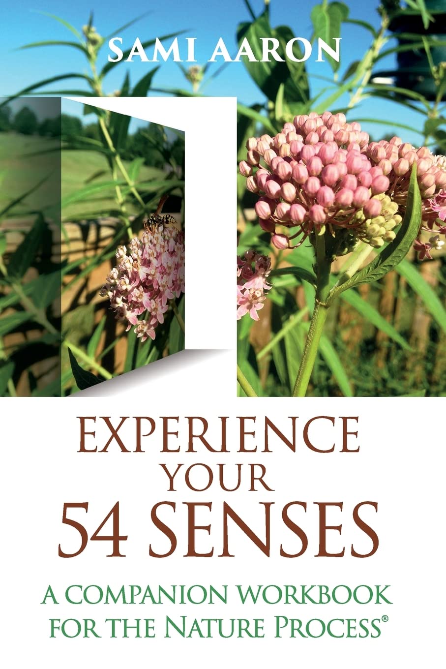 Experience Your 54 Senses: A Companion Workbook For The Nature Process®