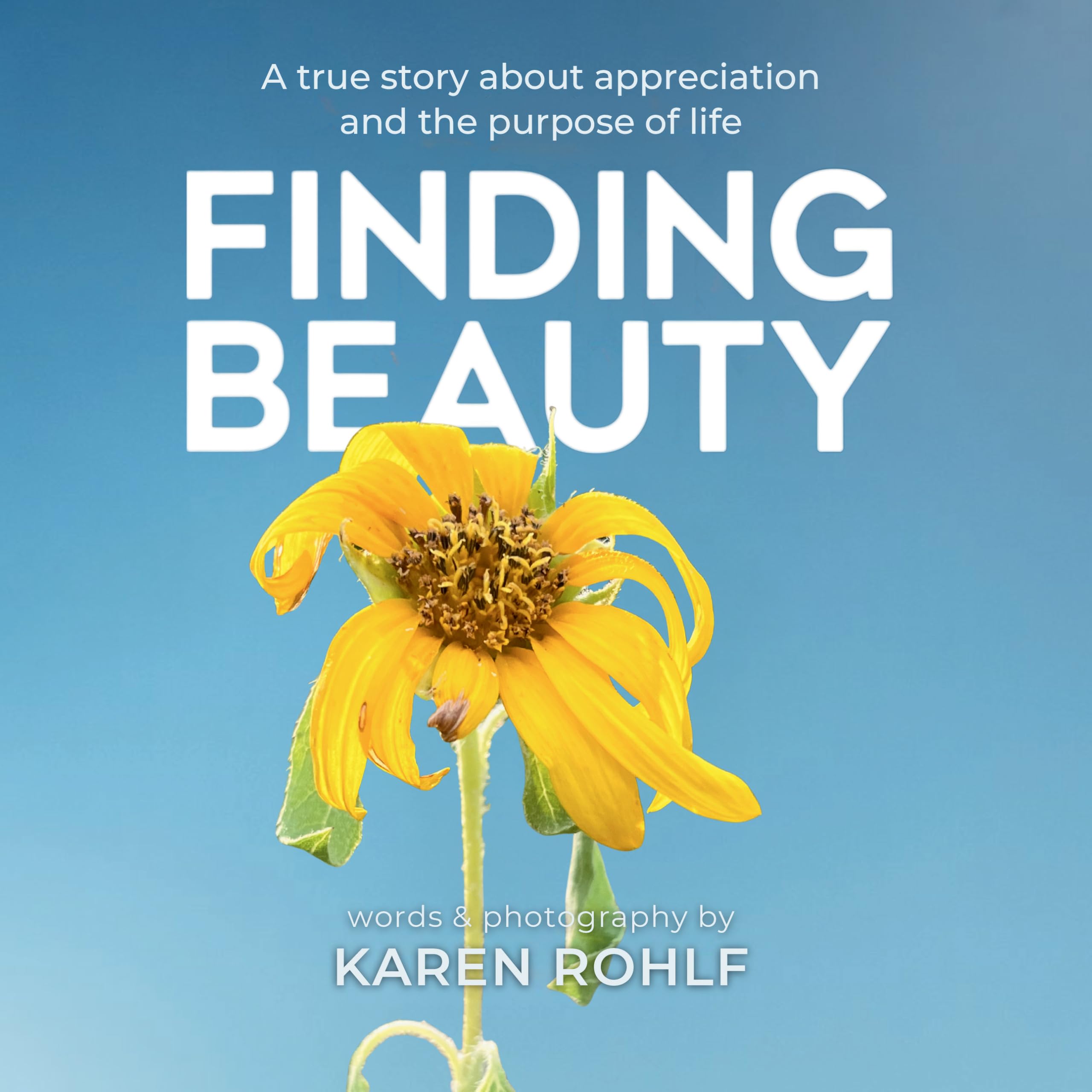 Finding Beauty biographie inspirante pour votre moment lecture et de bien-etre