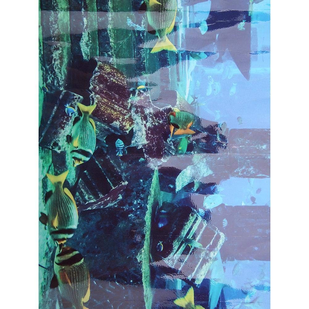 Fond D'aquarium Autocollant - Motif Récif Corallien Et Poissons - Tailles 61x41cm Et Autres - PVC étanche Haute Définition - Facile à Poser