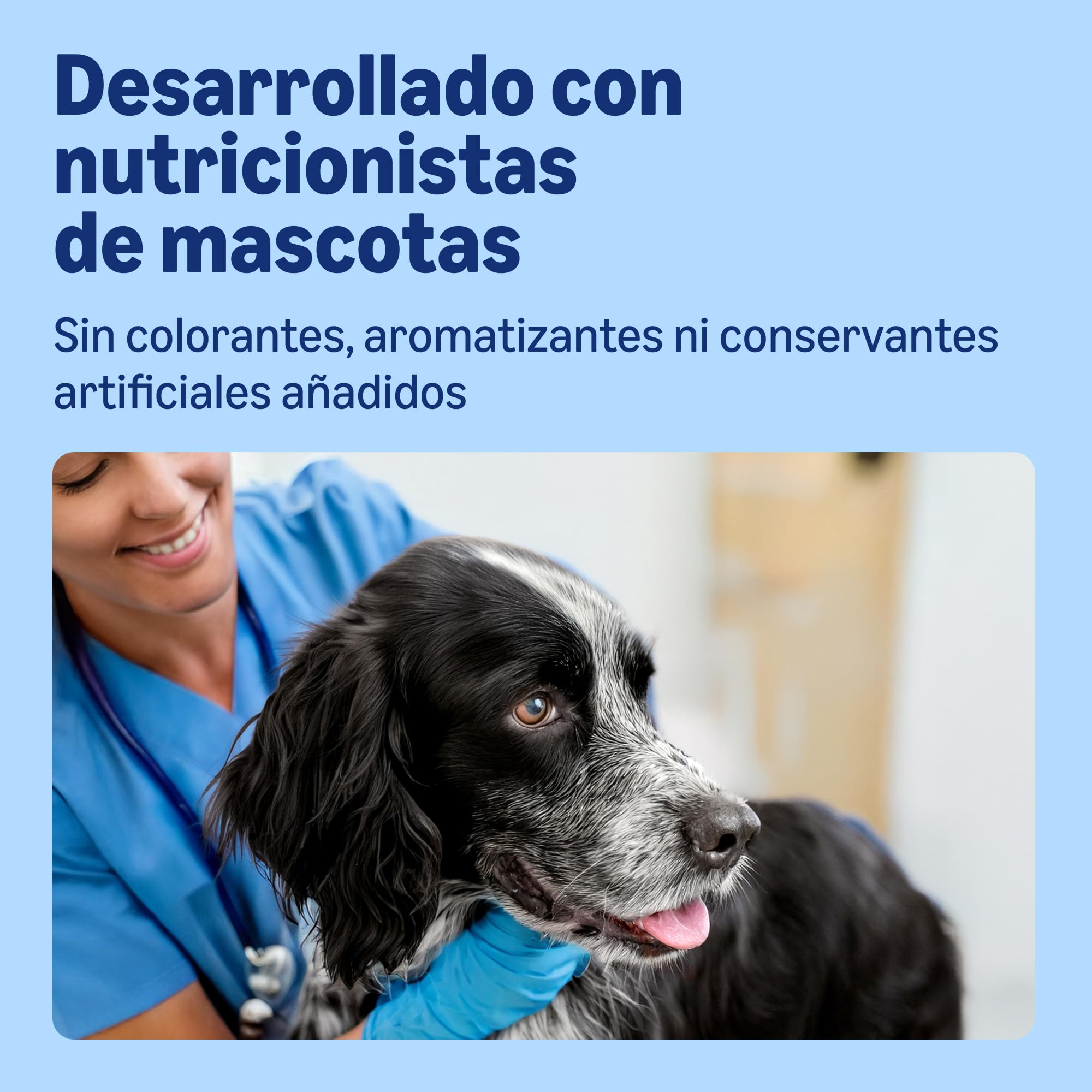 by Amazon Comida Húmeda para Perros, Paté Mixto, 300g, Paquete de 20