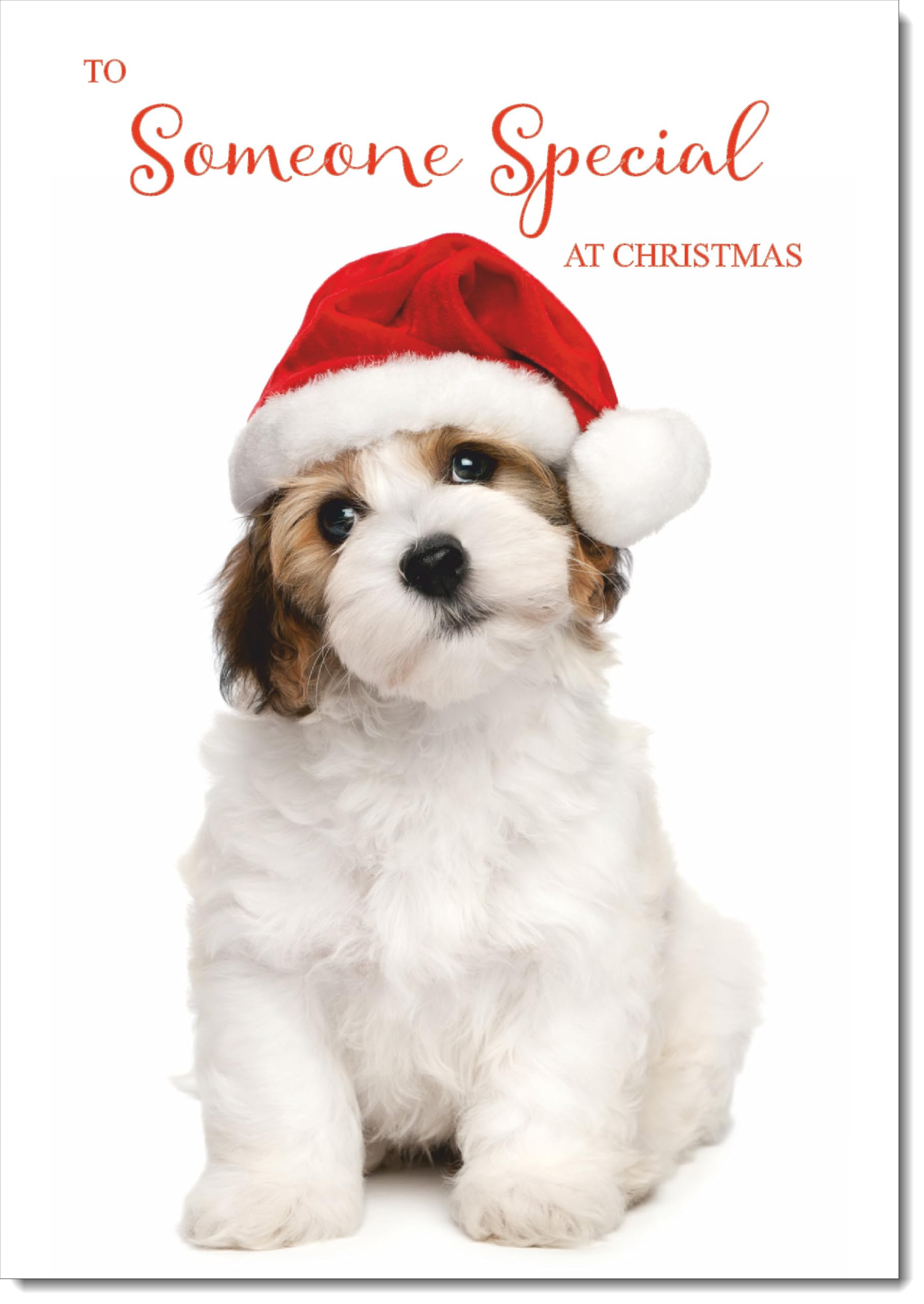 doodlecards Someone Special Christmas Card Dog and Santa Hat Large A4 Size Christmas Card for Someone Special with Plain Envelope — image 1