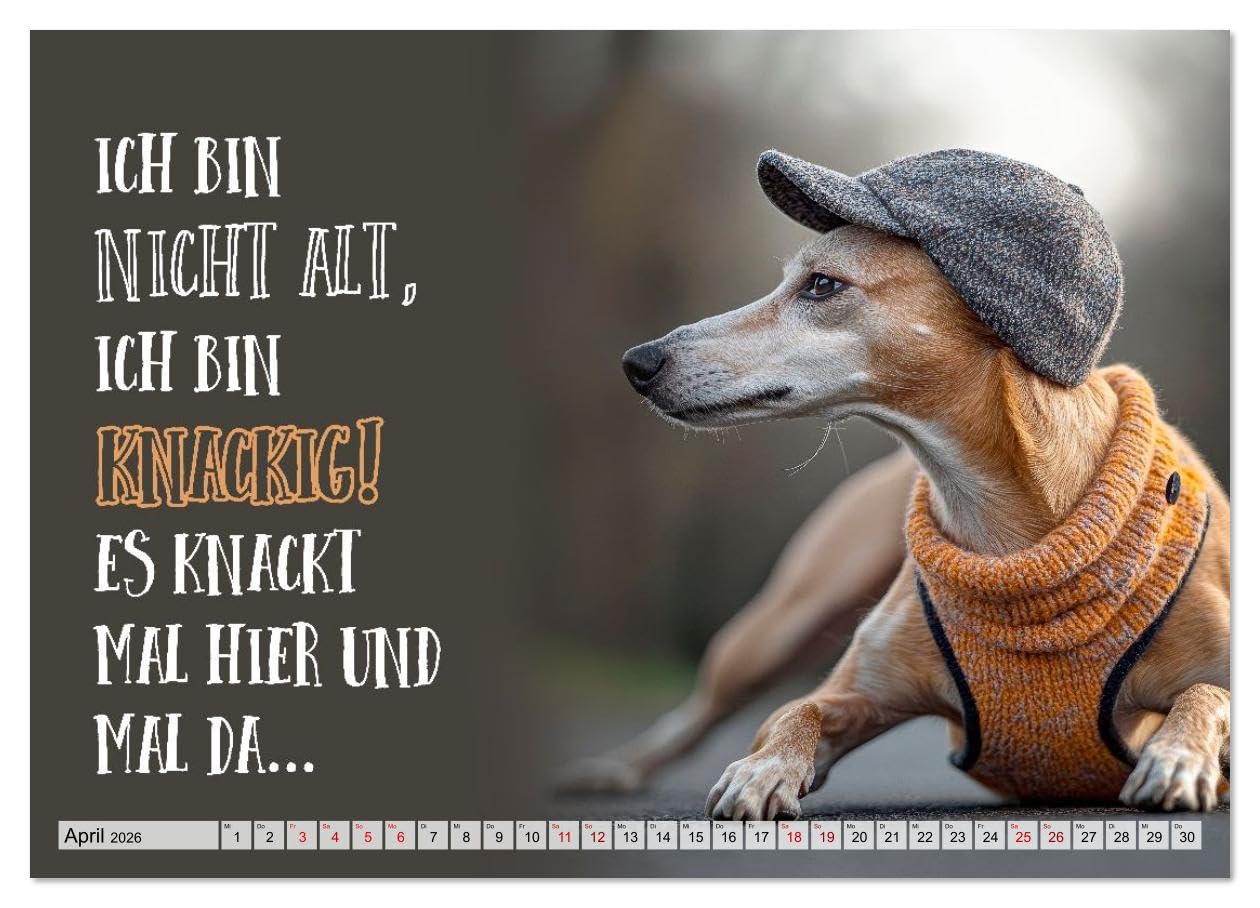 Wuffige Geburtstagsgrüße SPRÜCHE ZUM ÄLTERWERDEN (hochwertiger Premium Wandkalender 2026 DIN A2 quer), Kunstdruck in Hochglanz: Lächle, solange du noch Zähne hast (CALVENDO Spass)