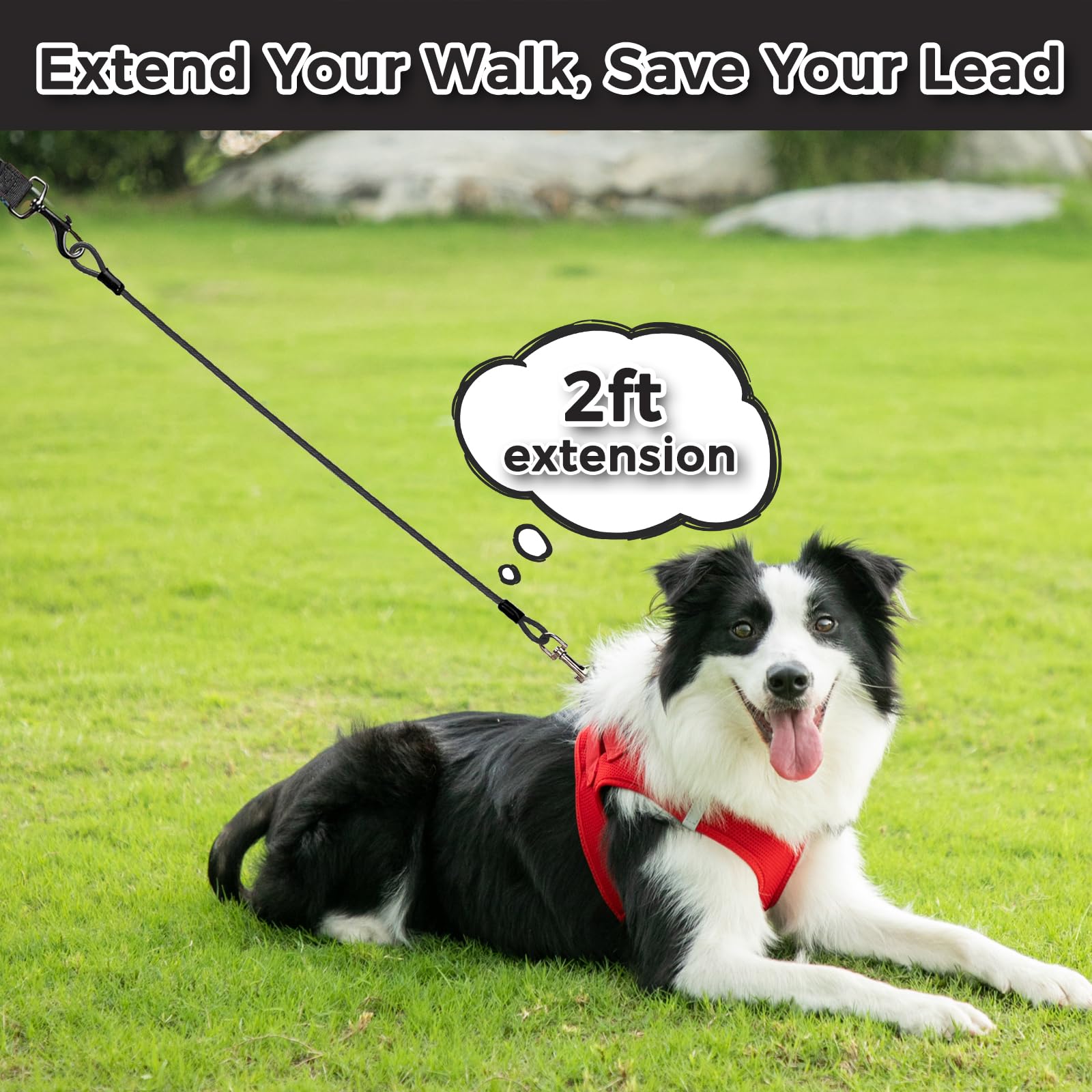 Chew Proof Dog Leash Extender, 2FT 5mm Metal Lead Extension, 360° Tangle-Free for Walking & Training Puppies, Fits Small/Medium/Large Dogs, Collar & Harness Compatible (Black/Orange/Blue) - 3