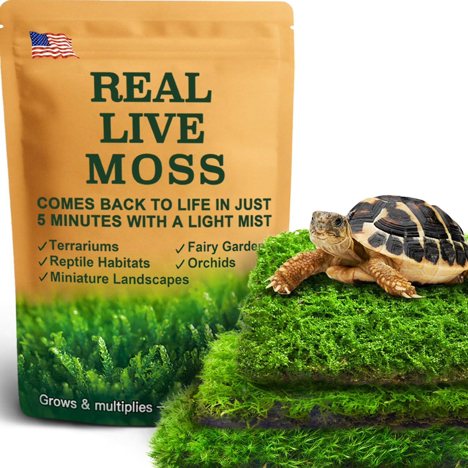 Live Moss Variety Pack for Reptiles– 3-Pack Mixed Real Terrarium Mosses (Each 3.5" x 7") – Live Sheet/Sphagnum Moss for Snake Gecko Turtle Frog Habitats, DIY Plant Décor – Fresh Reptiles Substrate