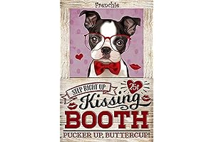 Kissing Booth Metal Tin Sign