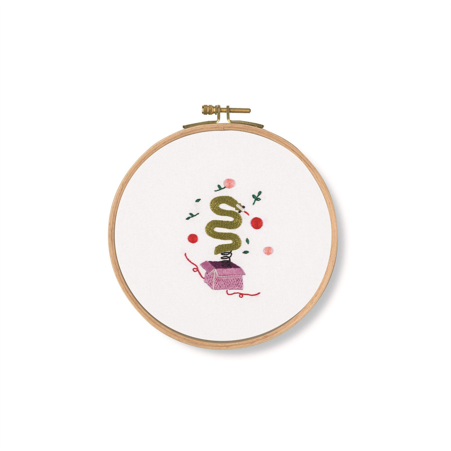 DMC Snake Surprise Kit, Includes 100% Printed Cotton Fabric, Embroidery Threads, Bamboo Hoop and Instructions