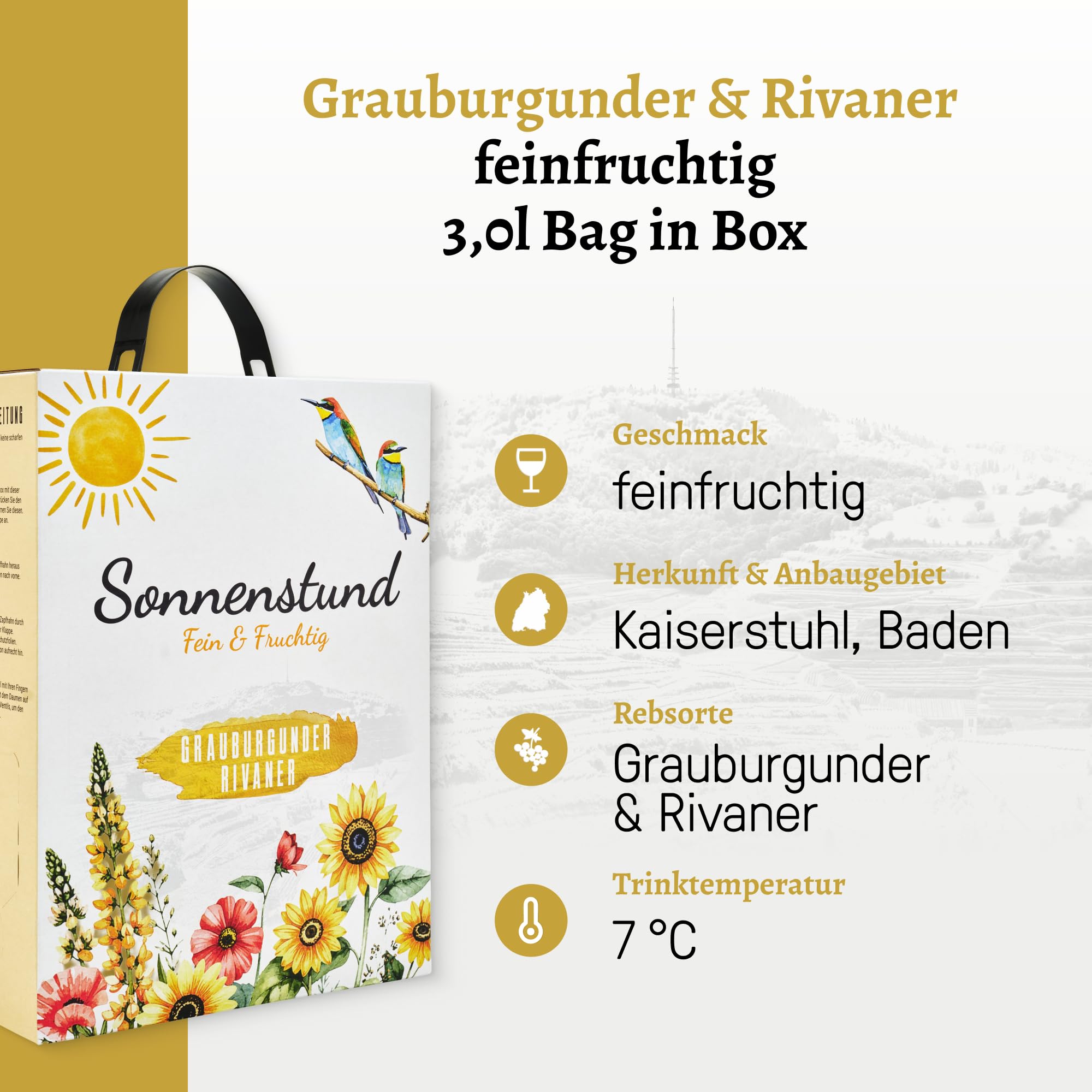 Sonnenstund Grauburgunder & Rivaner 2 x 3 Liter Wein-Box, fein & fruchtig mit Aromen von Apfel, Ananas und Litschi, Weißwein QbA vom Kaiserstuhl (2 x 3,0 l Bag-in-Box)