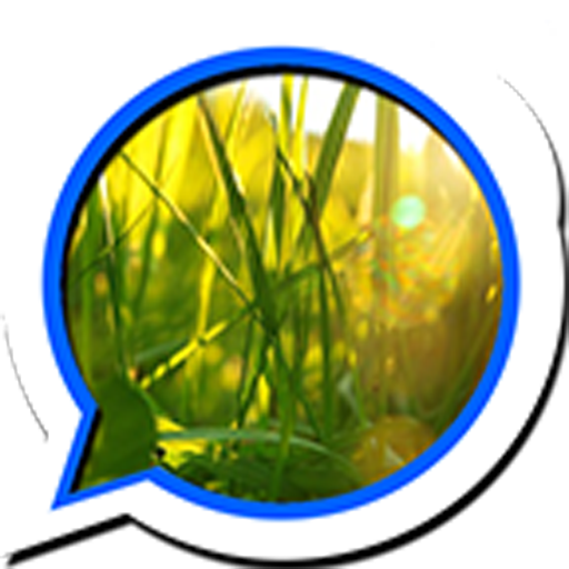 Grass Wallpapers App on Amazon Appstore