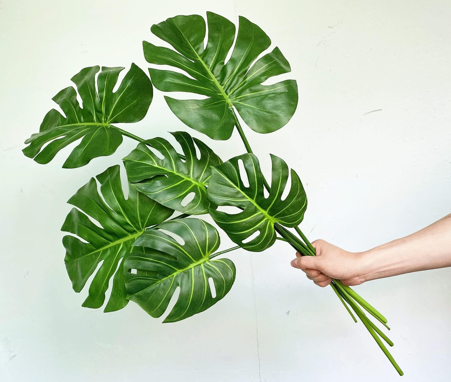Decolival Knstliche Monstera-Bltter, fhlen sich echt an, Monstera  Deliciosa, knstliche tropische Palme, Grn fr Zuhause, Innen- und  Auenbereich, Dekoration (Grn, 6 Stck) : Amazon.de: Kche, Haushalt &  Wohnen
