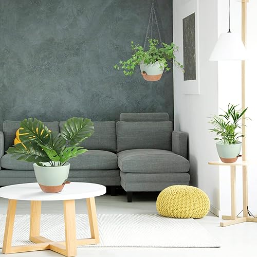 Miniatura 7 de Macetas colgantes de 8 pulgadas para plantas de interior y exterior, paquete de 2 macetas colgantes de riego automático con agujeros de drenaje y