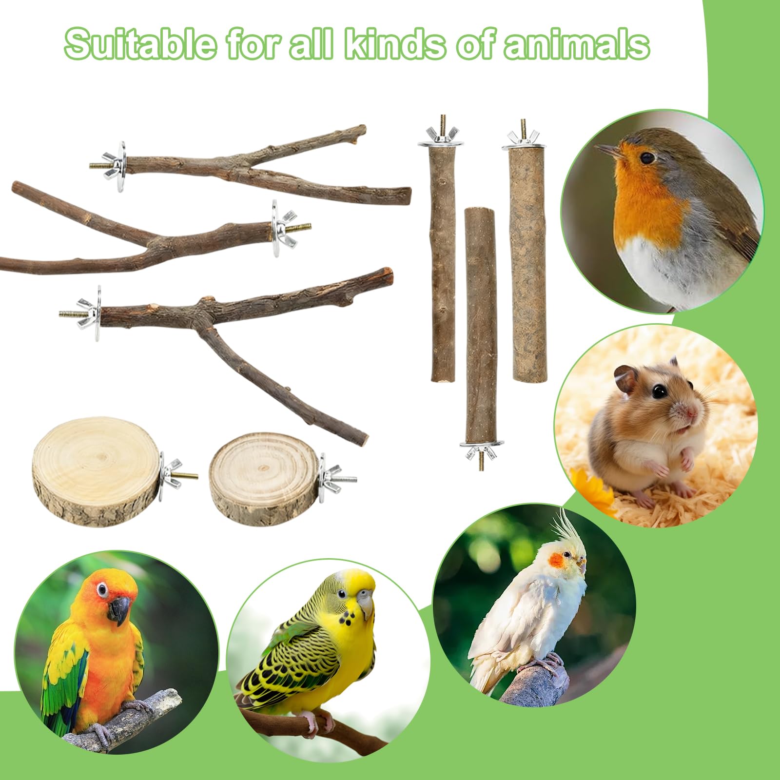 Set di 8 posatoi per uccelli, in legno naturale, per uccelli, accessori per uccelli, accessori per pappagallini, canarini, parrocchetti, uccelli diversi