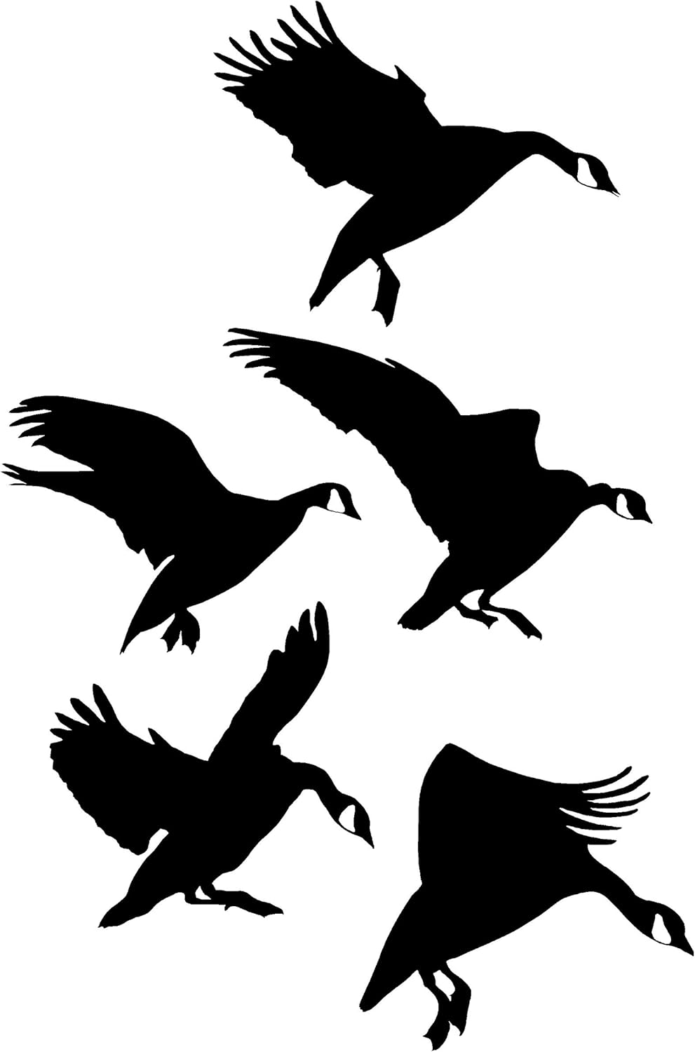 Landing in The Spread Goose Trailer Wall Decal Goose Decal Cup 2027 T-30″ by Waterfowldecals (White)
