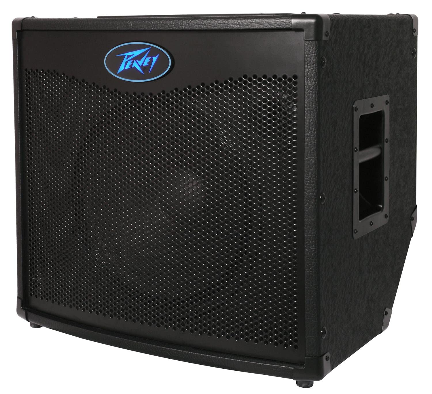 Peavey TOUR TKO 115 Bass Combo Amplifier : Amazon.in: Musical