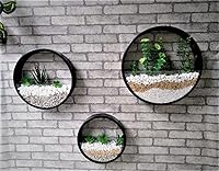 Vista 9 de Paquete de 3 macetas redondas de pared, jarrón de metal de pared, jardín de hadas redondo, maceta colgante de pared (juego de 3 (tamaño mixto)
