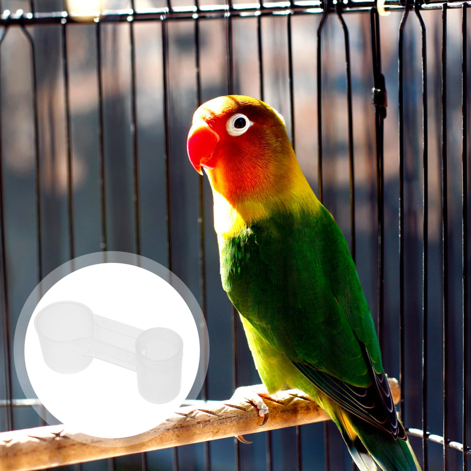 Hohopeti Dispenser Acqua per Piccioni e Uccelli Doppia Uscita, in Plastica Bianca, Automatico e Pulito, per Negozi di Animali e Zoo, Confezione da 10 Pezzi