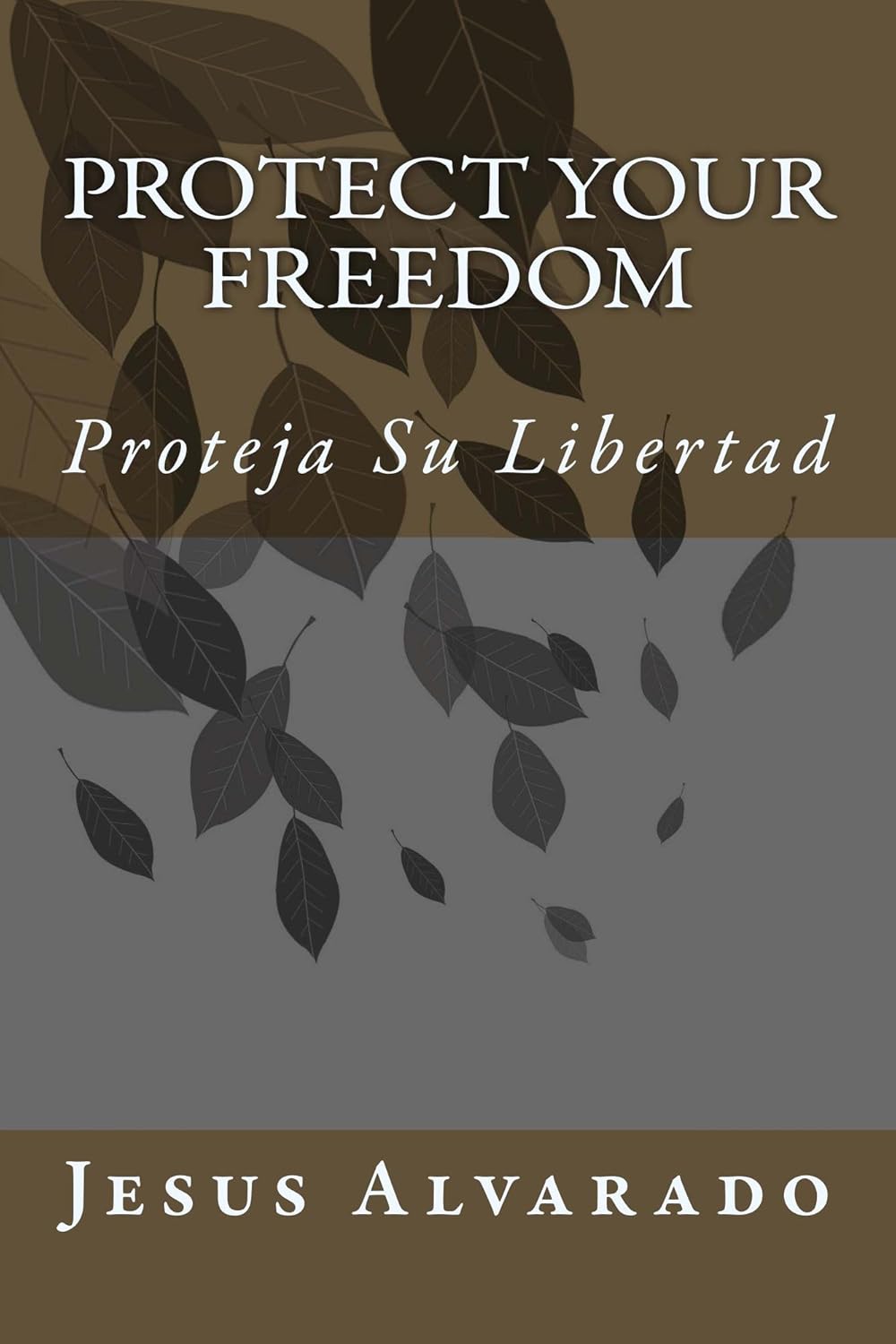 Protect Your Freedom / Proteja Su Libertad Kindle edition by Alvarado