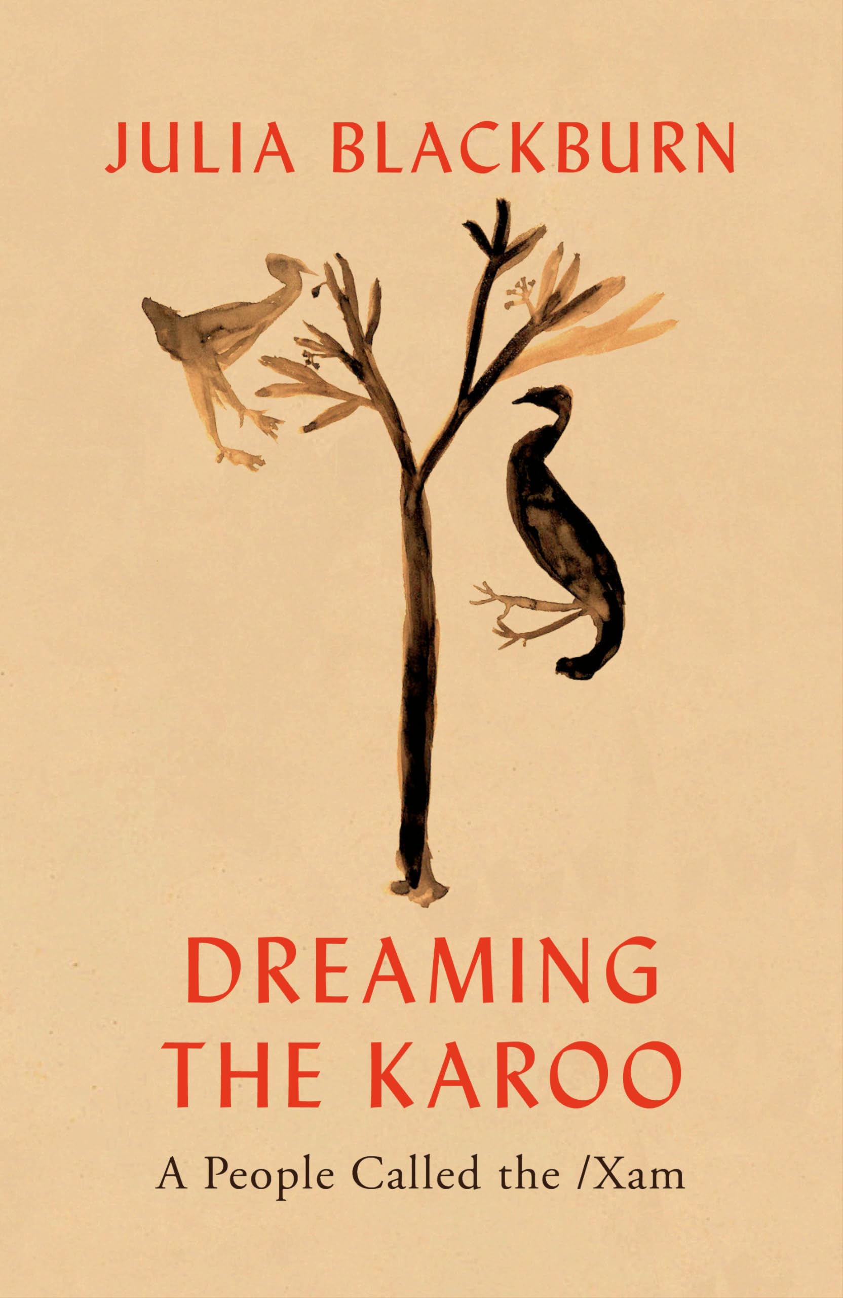 Dreaming the Karoo by Julia Blackburn - 9781787332171