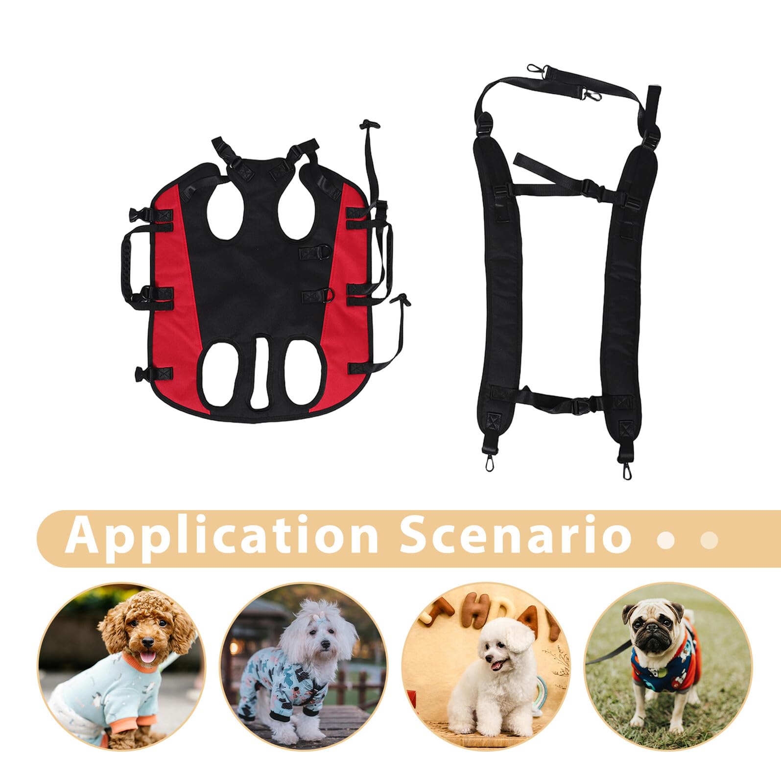 Levemolo Dos de Transport pour Chat et Chien Bandoulière Réglable Extérieur pour Animaux de Compagnie de Voyage pour Petit Chien