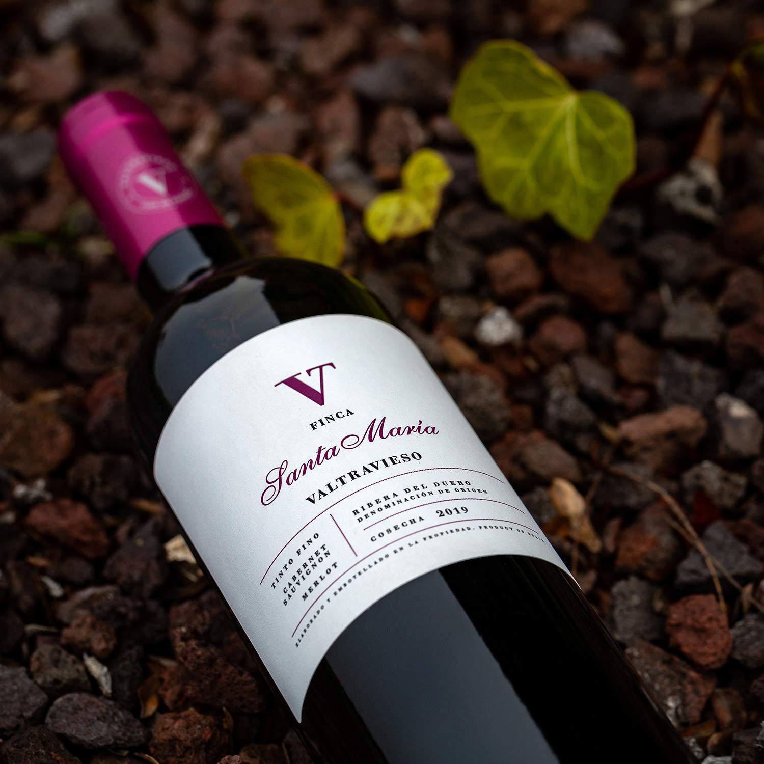 Valtravieso Caja Vino Tinto Ribera del Duero - Finca Santa Maria Roble Denominación de Origen/Tinto Fino (98%), Cabernet Sauvignon & Merlot (2%)| Pack Lote Regalo de 6 Botellasx750ml