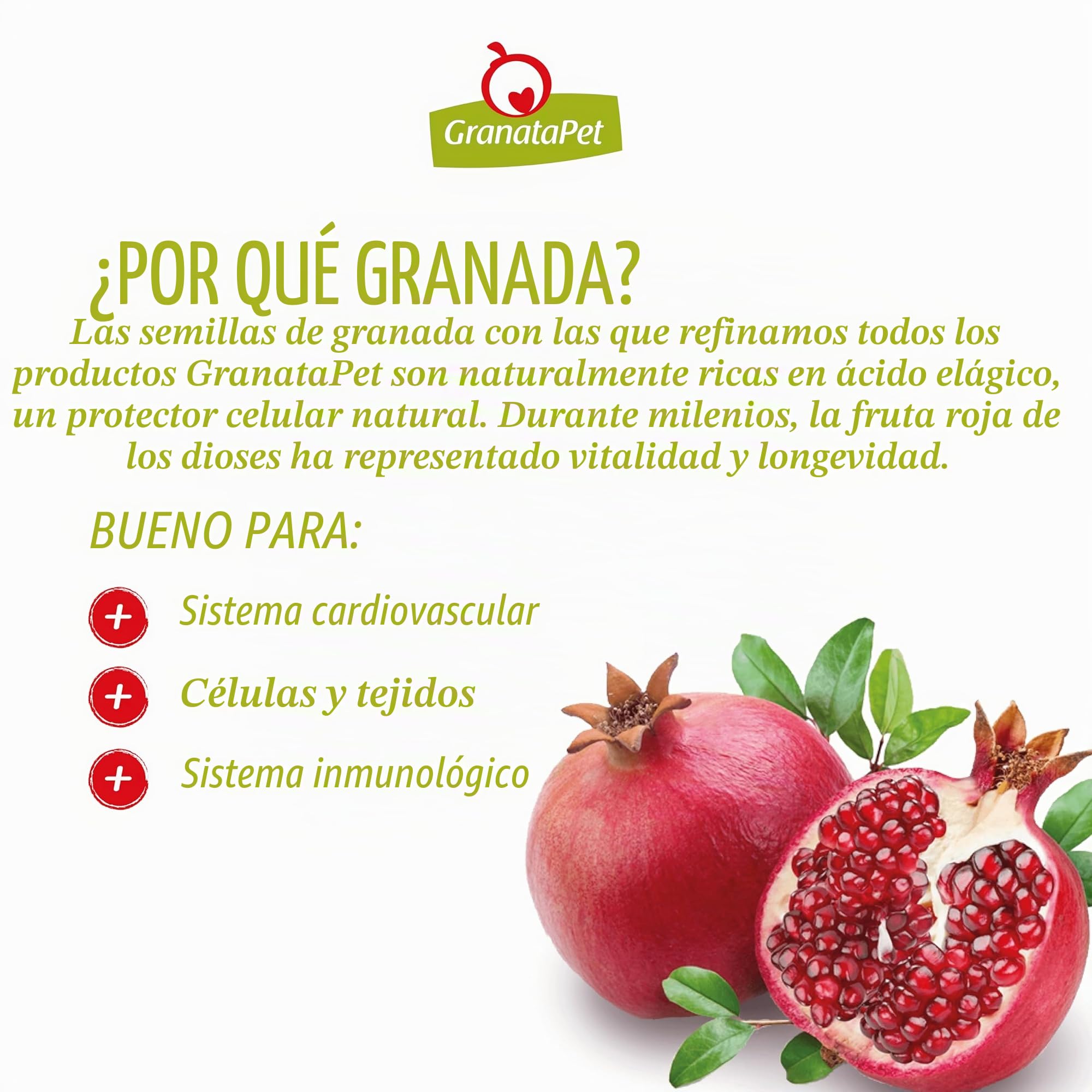 GranataPet Comida Favorita de Pavo Senior, Comida Seca para Perros, Comida para Perros sin Cereales y sin azúcares, pienso Completo, 10 kg | Alimento completo, sin cereales, sin azúcares añadidos, aceite de salmón y mejillón de labios verdes, fabricado en