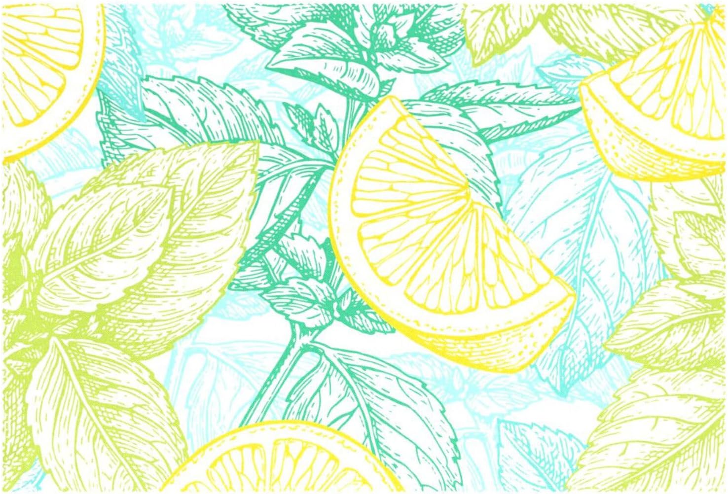 Manteles individuales de limón y menta, lavables, antideslizantes, resistentes al calor, de 12 a 18 pulgadas, manteles individuales decorativos para
