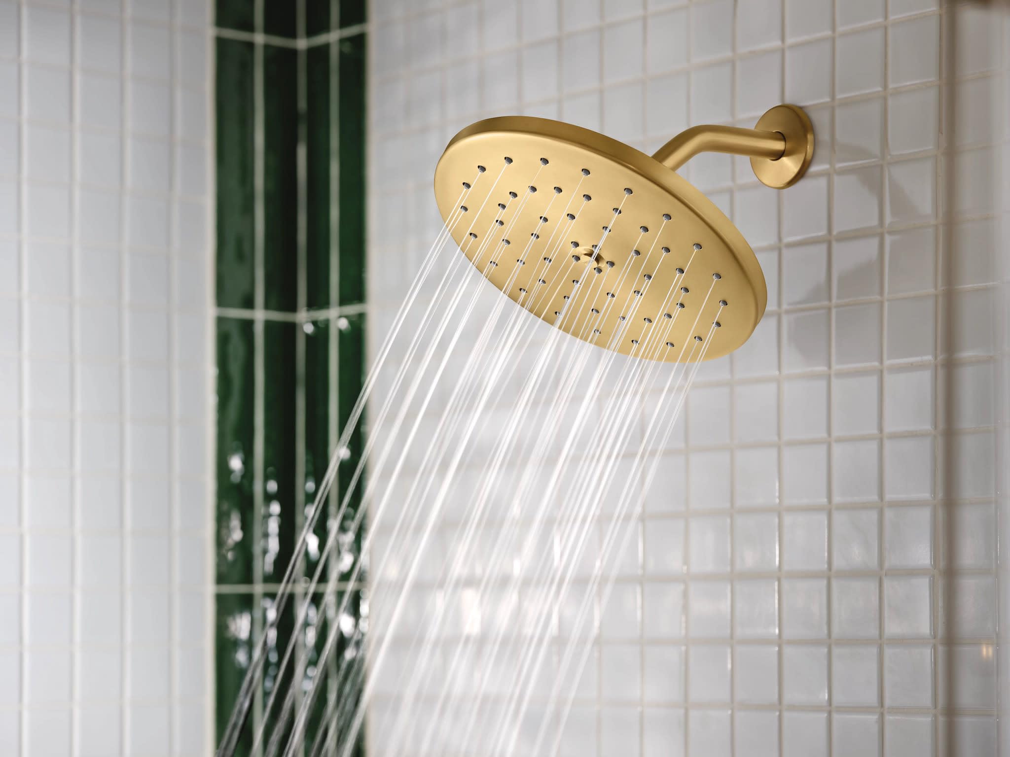 Moen 6345BN Collection 8-Inch Fixed Single Function Round Rainshower Showerhead, 2.5 GPM