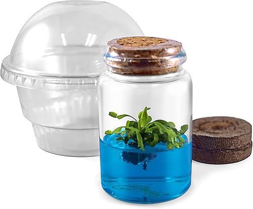 Kit de trampa para moscas Venus, terrario de trampa para moscas Venus viva incluidaKit de inicio fácil para principiantes DIY, planta educativa en