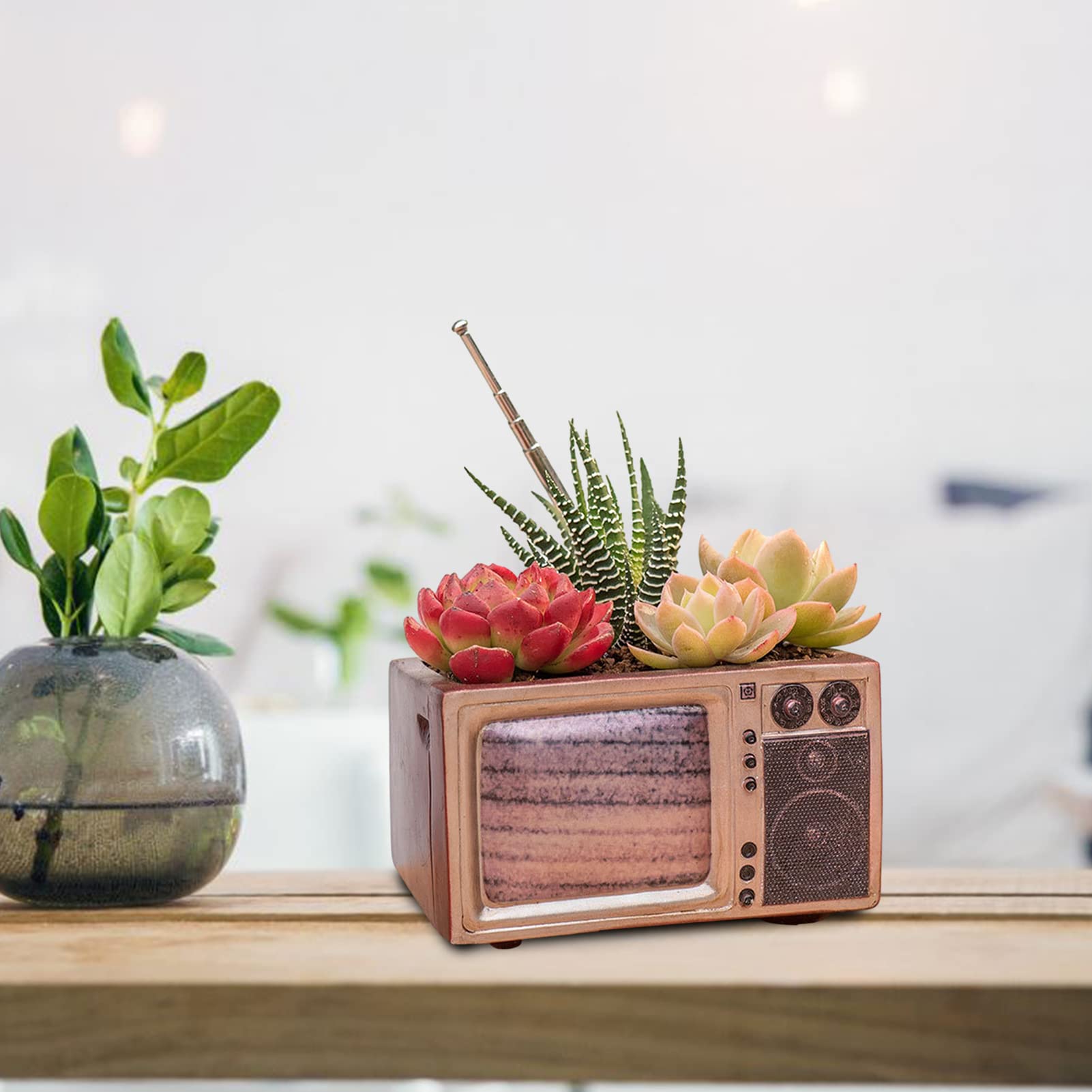 Vaso Per Piante Grasse A Forma Di Radio Retrò Hztyyier In Resina - Decorazione Casa E Ufficio Con Foro Di Drenaggio
