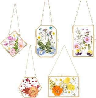 5 Pcs Double Glass For Pressed Flowers,Clear Brass Embossed Frame With T...