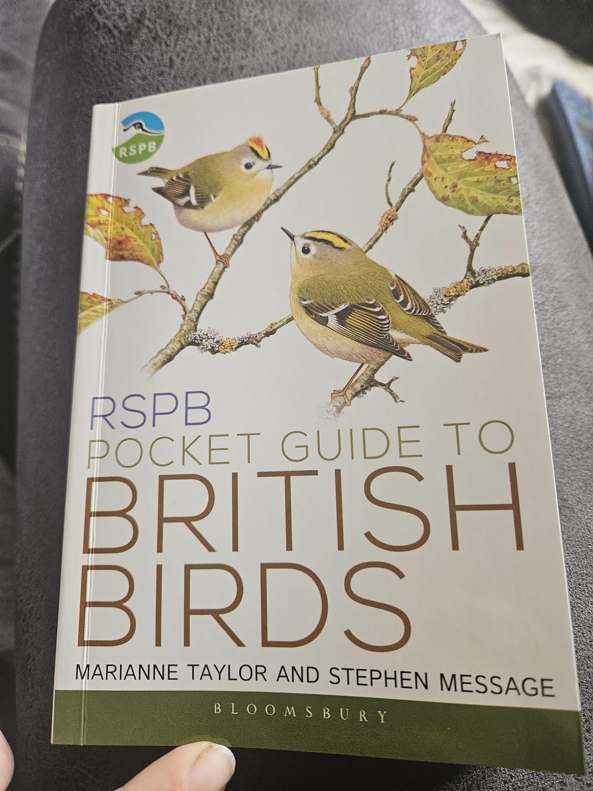 Buy RSPB Pocket Guide to British Birds Book Online at Low Prices in ...