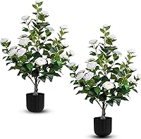 HANANONA 2pcs Artificial Camellia Trees Faux White Flowers in Pots - Realistic 35in Plants for Indoor Outdoor Home Decor, Porch & Front Door