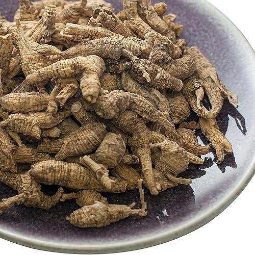 Wild Pearl Original Tail - Raíz de ginseng americano salvaje